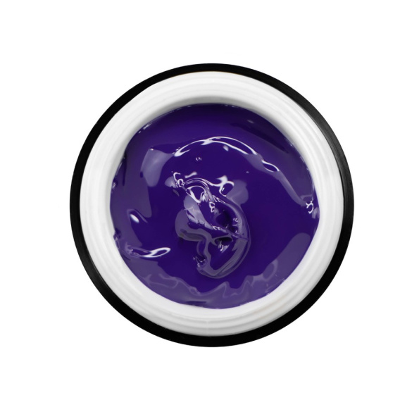 Designer Paint Purple Imag 2
